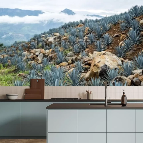 Papier peint  Paysage montagne au Mexique