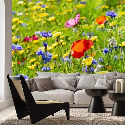 Papier peint  Prairie et fleurs sauvages