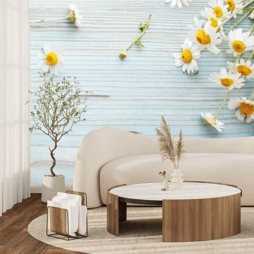 Papier peint  Pâquerettes sur les planches