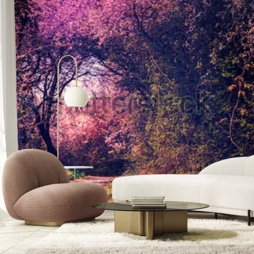 Papier peint  Belle nature dans le jardin