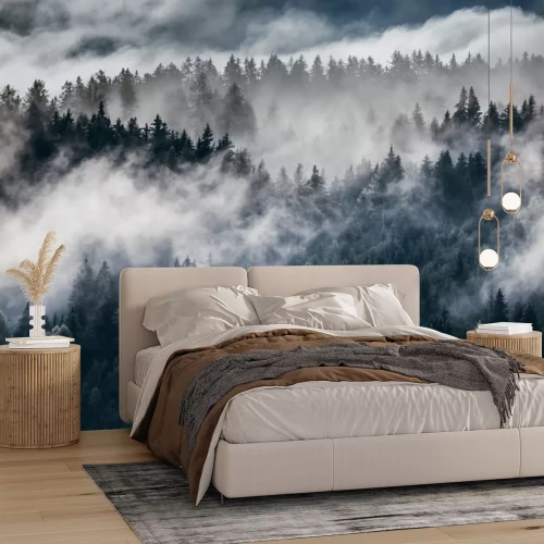 Papier peint  Forêt de sapins alpins dans la brume