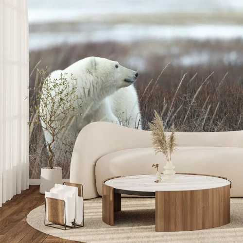 Papier peint  Ours polaire dans la prairie
