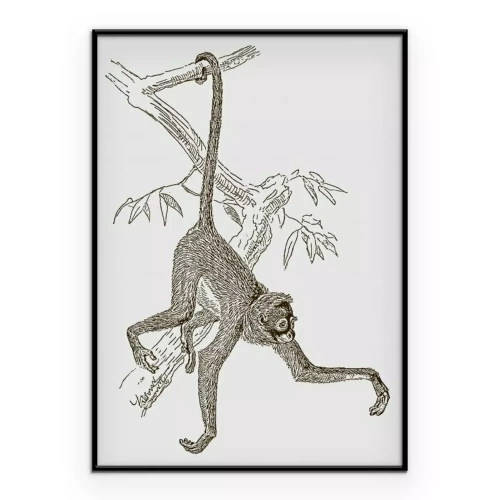Poster  Un dessin d'un singe suspendu à une branche