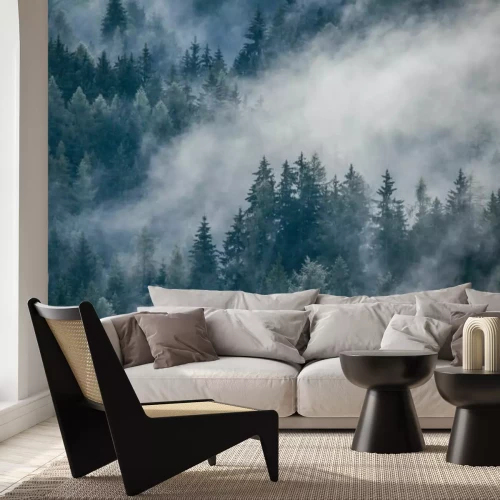 Papier peint  Dense morning fog in alpine landscape with fir trees and mountains. 