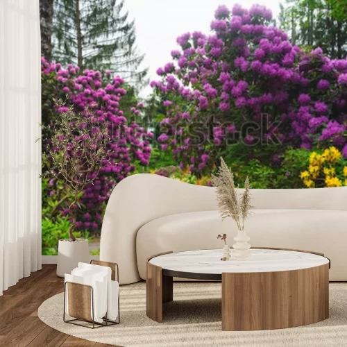 Papier peint  La nature dans le parc