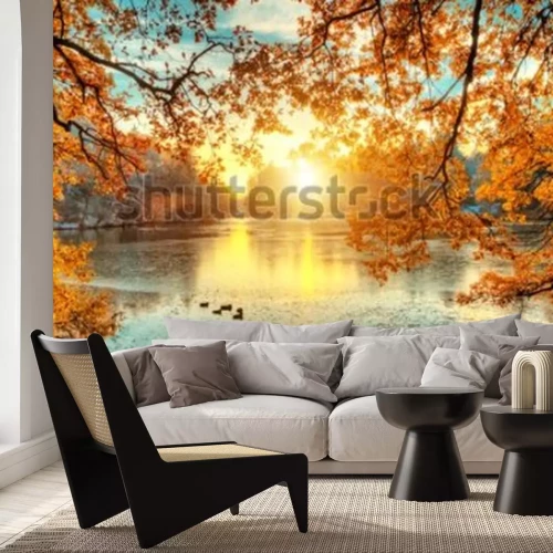 Papier peint  Paysage d'automne lever du soleil parmi les arbres