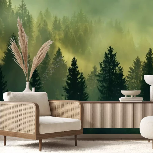 Papier peint  Lever de soleil en forêt