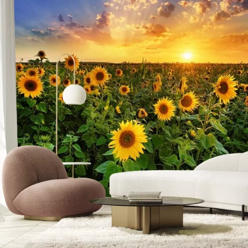 Papier peint  Tournesol, soleil et nuages