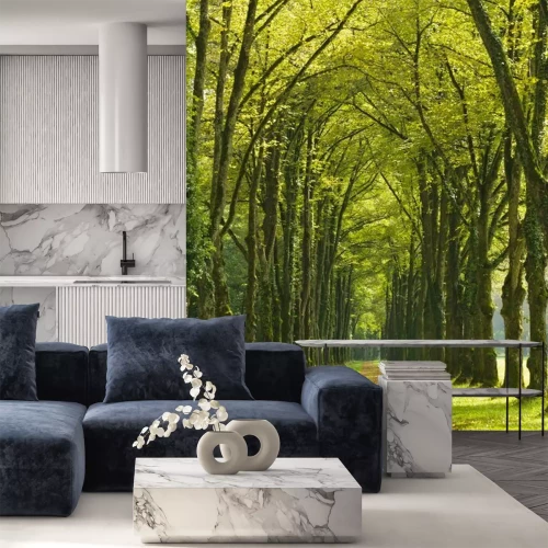 Papier peint  Arbre de la rue avenue