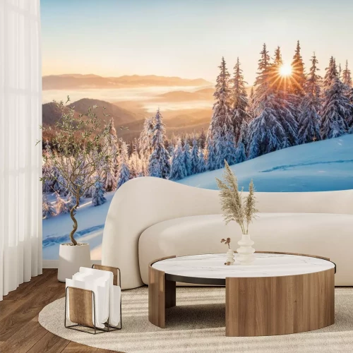 Papier peint  Impressive winter morning in Carpathian mountains with snow covered fir trees. Colorful outdoor scene, Happy New Year celebration concept. Artistic style post processed photo.