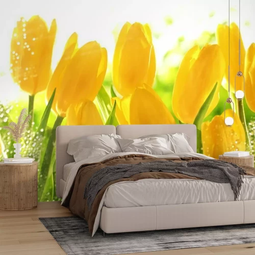 Papier peint  Fleurs jaunes