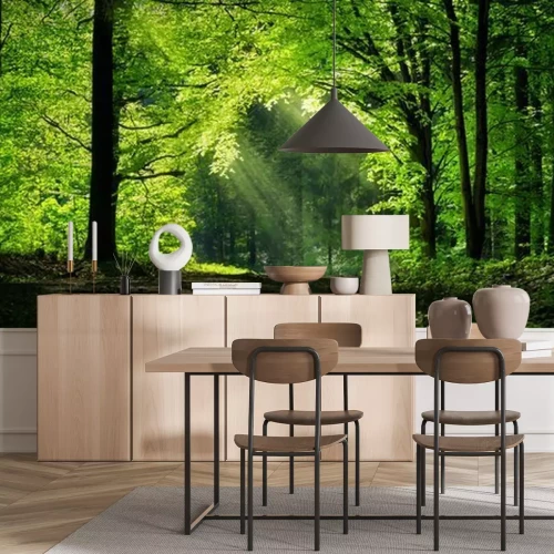 Papier peint  Un chemin parmi les arbres verts