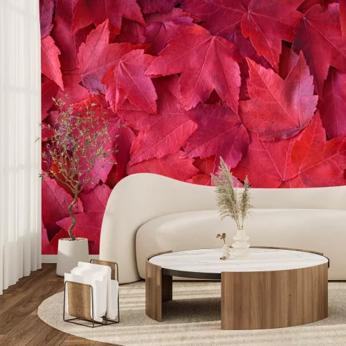 Sticker  Feuilles d'automne rouges