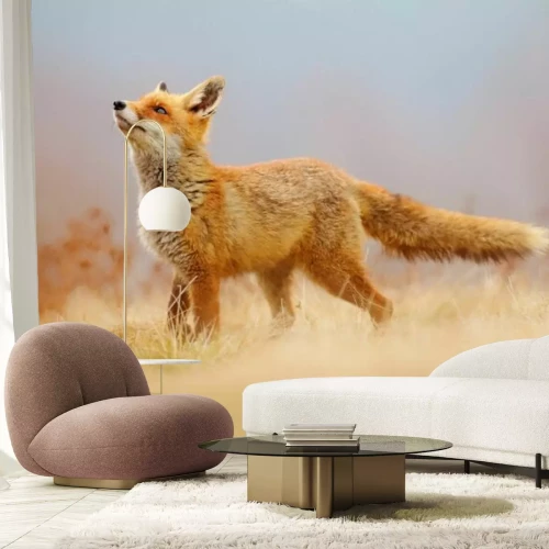 Papier peint  Renard rouge sur la clairière