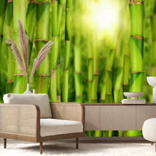 Papier peint  Tiges de bambou et soleil