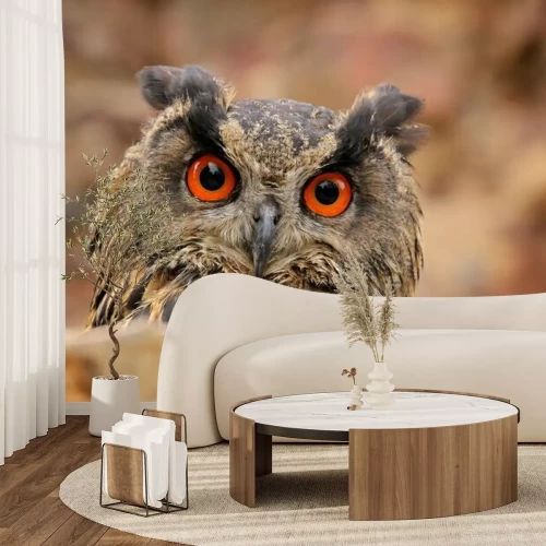 Papier peint  Eurasian Eagle Owl, Bubo Bubo, sitting on the tree branch, wildlife photo in the forest with orange autumn colours, Slovakia. Bird in the forest.