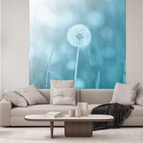 Papier peint  Pissenlit unique sur fond bleu