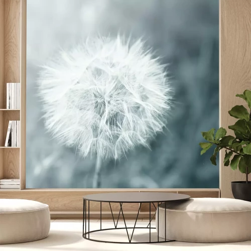 Papier peint  Pissenlit sur un fond gris abstrait