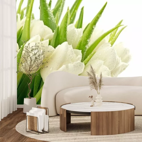 Papier peint  Bouquet de tulipes au printemps