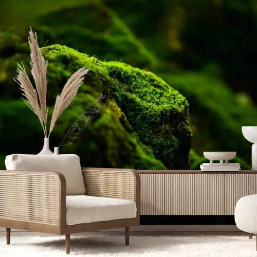 Papier peint  Pierres couvertes de mousse