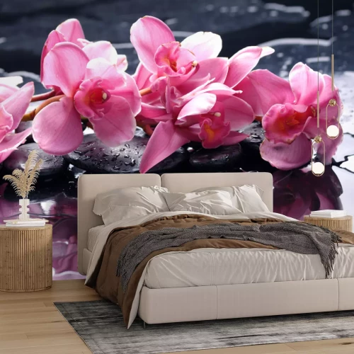 Papier peint  Orchidée rose à la surface de l'eau