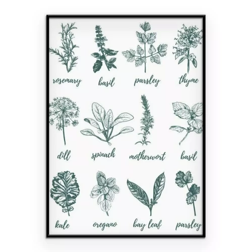 Poster  Dessin d'herbes signées