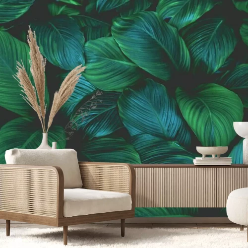 Papier peint  Feuilles exotiques de couleur sombre