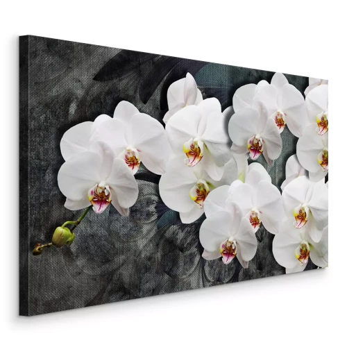 Tableau  Fleurs d&#39;orchidées blanches 3D sur fond sombre