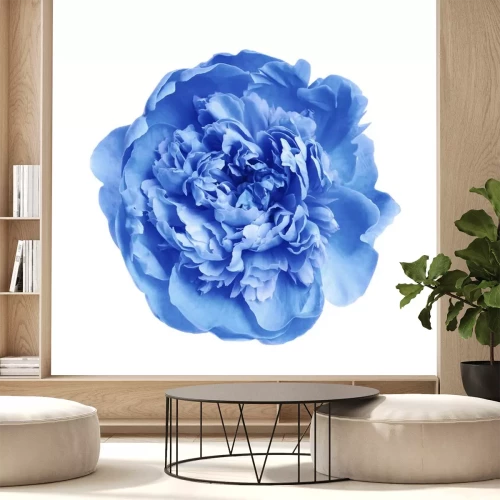 Sticker  Belle pivoine bleue