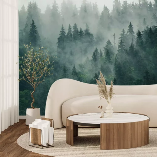 Papier peint  Forêt 3d au crépuscule