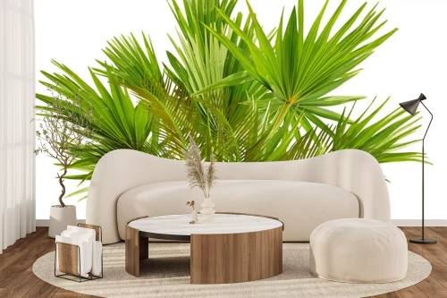 Visualisation du produit