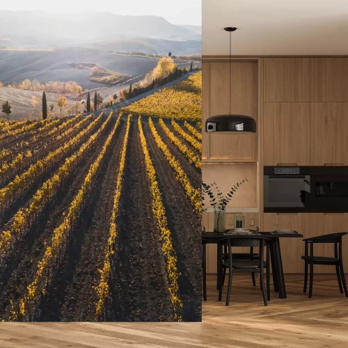 Sticker  Vignobles italiens en automne