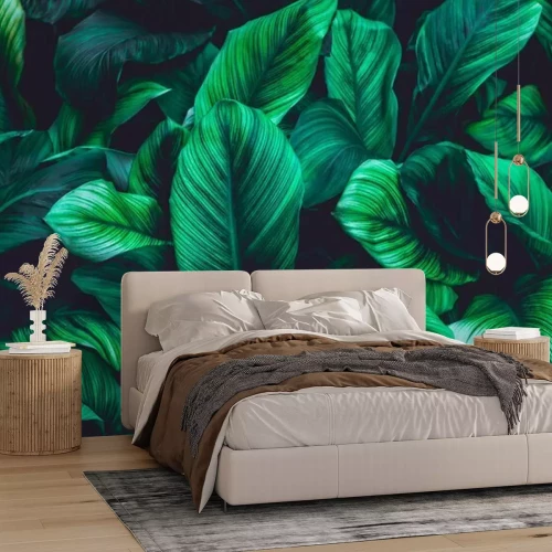 Papier peint  Mur de feuilles tropicales vertes