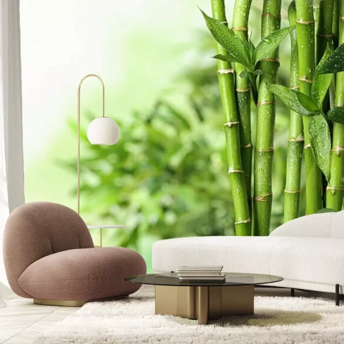 Papier peint  Bambou vert avec gouttes d'eau sur fond de feuilles