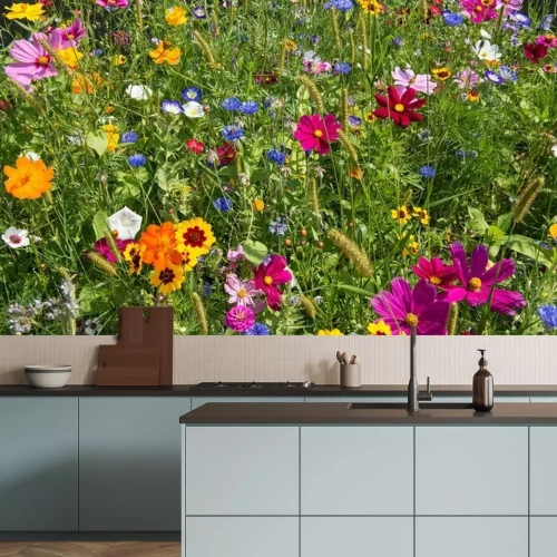 Papier peint  Prairie avec des fleurs en été