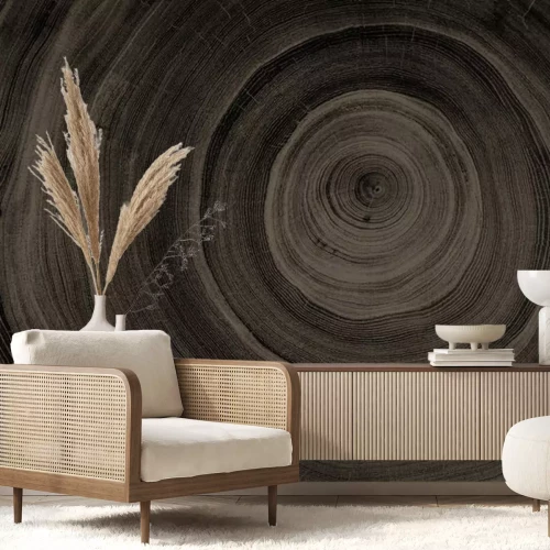 Sticker  Coupe transversale en bois foncé