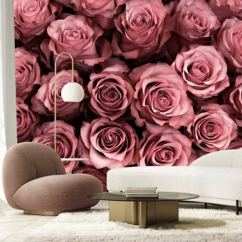 Papier peint  Têtes de fleurs de roses formant un tapis