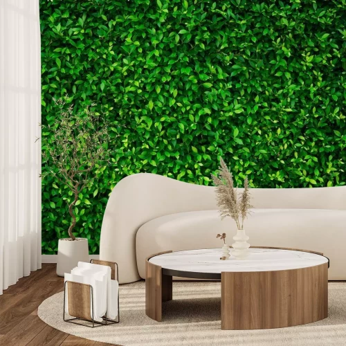 Papier peint  Petites plantes