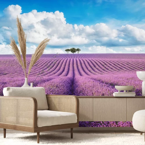 Papier peint  lavender field with tree with cloudy sky