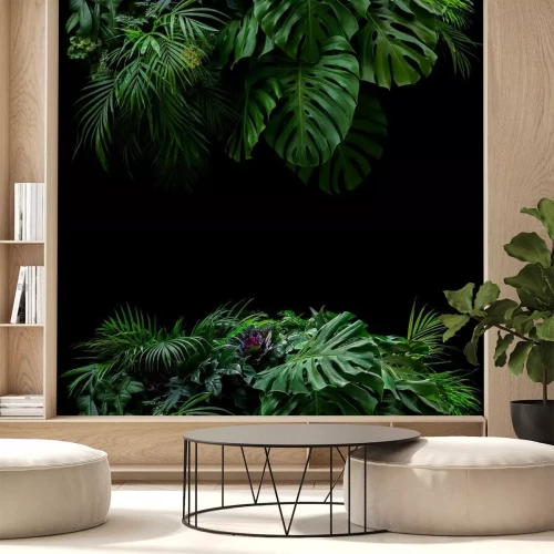 Papier peint  Plantes exotiques sur fond noir