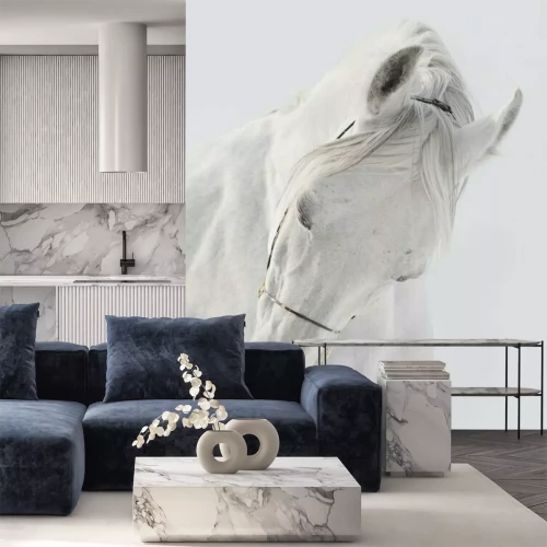 Papier peint  Buste d'un cheval blanc