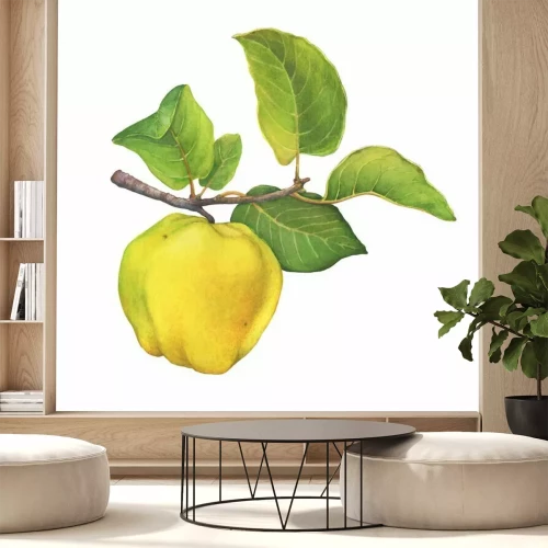Sticker  A branch of ripe yellow quince (cytonia) fruit with green leaves. Hand drawn watercolor painting illustration isolated on white background.