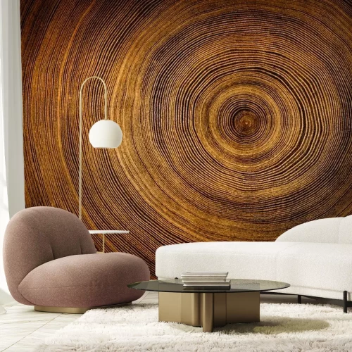 Sticker  Texture bois coupé