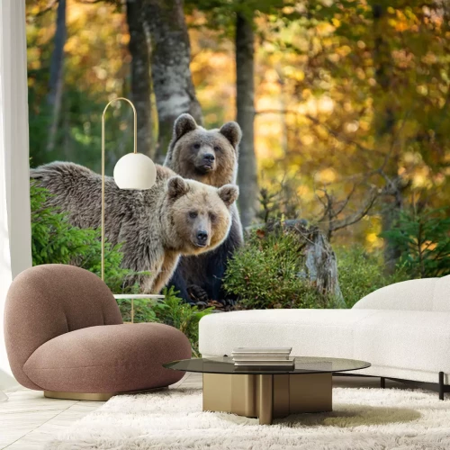 Papier peint  Ours bruns dans la forêt d'automne