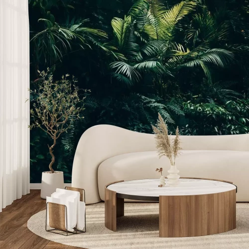 Sticker  Tropical leaves background,jungle leaf garden