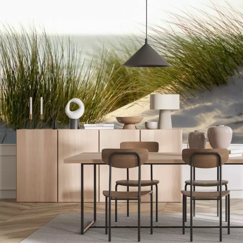 Papier peint  Herbe de mer