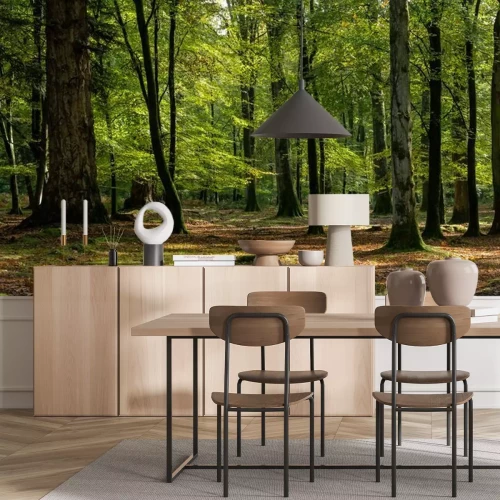 Papier peint  Début d'automne dans la forêt