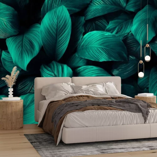 Papier peint  Spathiphyllum cannifolium