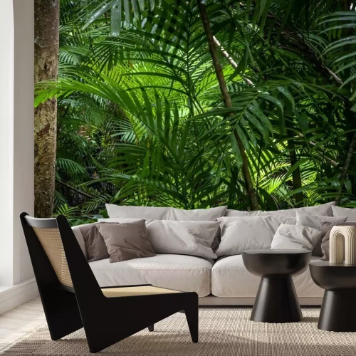 Papier peint  Tropical jungle, Tropical rainforest with different trees.