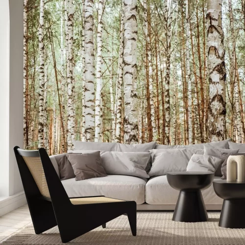 Papier peint  Forêt réaliste pleine de bouleaux